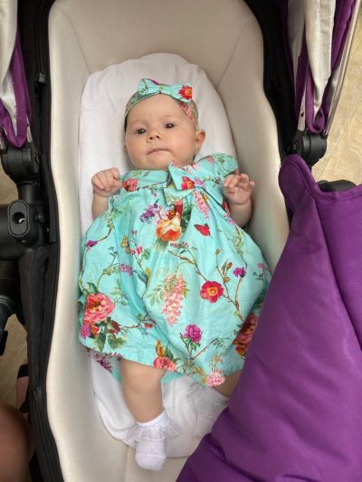 Misty's granddaughter, Daisy
