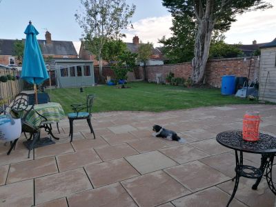 Misty's Garden and Minnie
