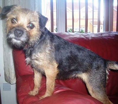 Minnow  aka MudMagic Kaos 
