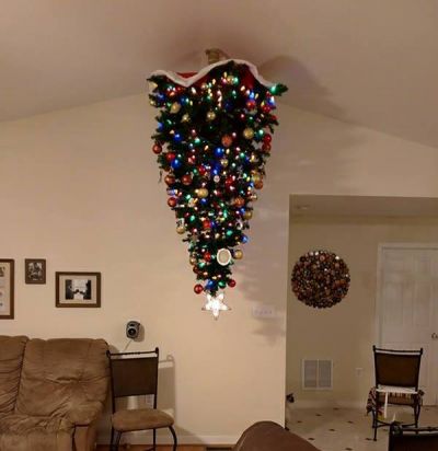 Nutty's Christmas Tree lol
