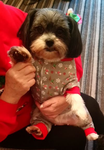 Mistyeyes
The gorgeous Minnie!!
