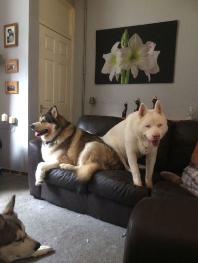 Stormy boy and Big D!!
