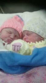 twins_1.jpg