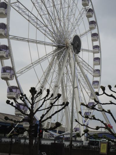 Big Wheel Antwerp
