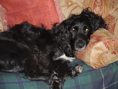 end of a busy  day.....
