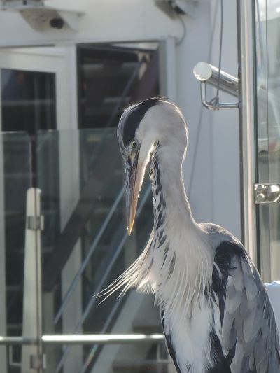 He told me  where I was going wrong....
