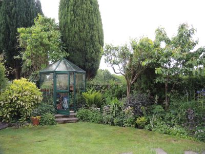 Mrs F 's greenhouse 
