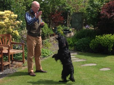 ...catching  the orange...
