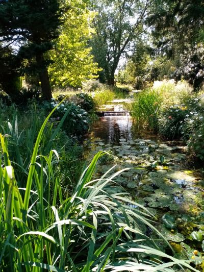 Trip to water  garden Poppy  went swimming !
