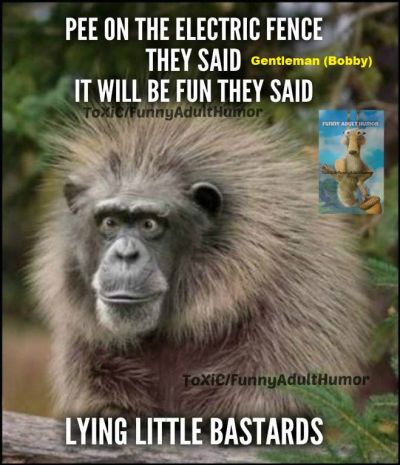 Gents new hair style
Gents new hair style
