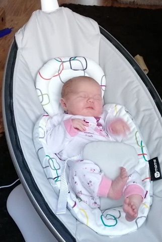 Misty's granddaughter Daisy
