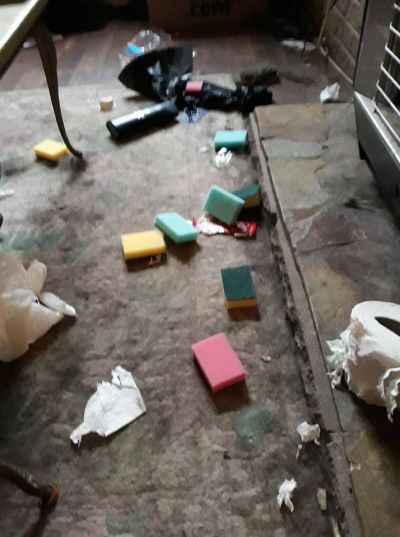 Thanks Marley
Marley's early entry into this year's "Let's Wreck The Lounge" contest. The pool of purple shower gel on the rug is a nice touch.....
