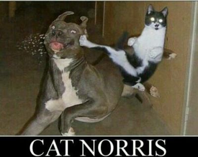 i saw this and had a laff
