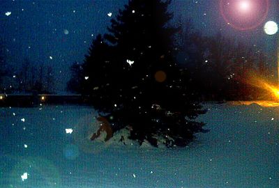 this is when my camera did take a pic of snowflakes... awesome
