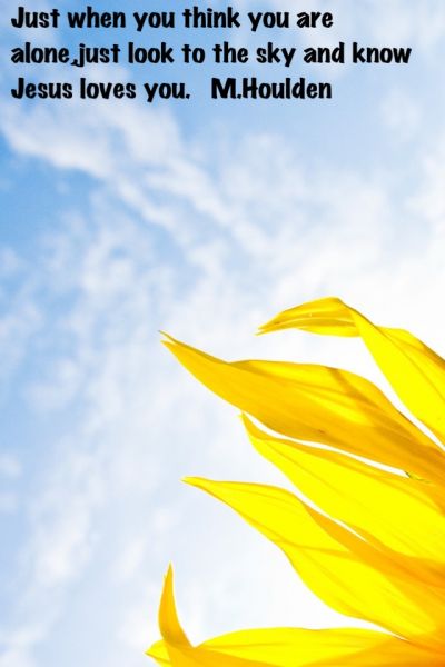 a meme i created....
