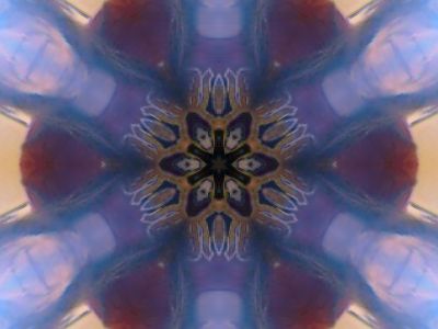 messing around with the camera
